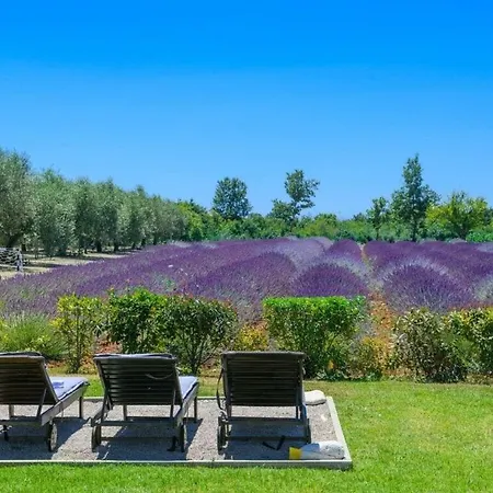 Brajdine Lounge 4* Juršići